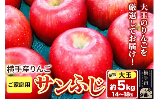 【先行受付 12月上旬より発送】横手市増田産りんご サンふじ【大玉】ご家庭用 約5kg [先行予約 秋田県 横手市 林檎 リンゴ 果物 フルーツ 【りんご】特集]
