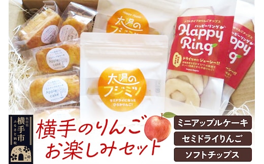 【期間限定】横手のりんごお楽しみセット（ラム酒漬けのりんごが入ったミニアップルケーキ×5個・セミドライりんご「太陽のフジミツ」×2袋・蜜入りりんごのソフトチップス×2袋）