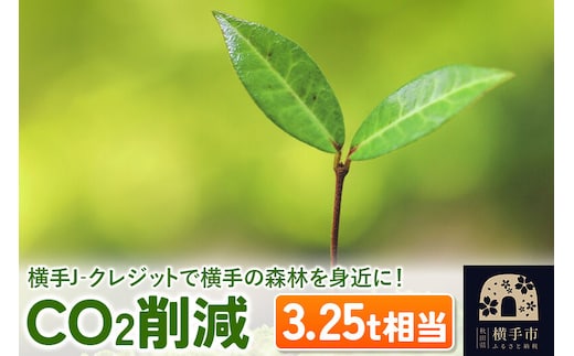 横手J‐クレジットで横手の森林を身近に! CO2削減 3.25t相当 [環境保護 森林保全 森林保護 SDGs エコ eco 二酸化炭素 CO2]