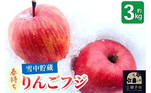《先行受付！3月上旬より順次発送》雪中貯蔵 春待ちりんご フジ 3kg [先行予約 りんご フジ 希少 【りんご】特集]