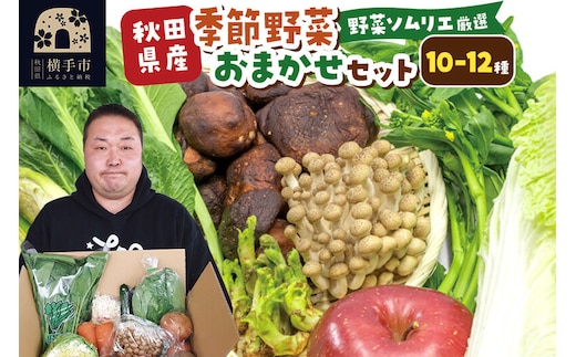 和泉青果六代目が選ぶ 秋田の季節野菜おまかせセット 10～12品目 [産地直送 季節の旬の野菜をお届け やさい セット 詰め合わせ 詰合せ 詰合わせ 国産 秋田県産 食材 お楽しみ]