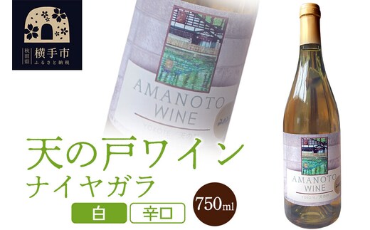 天の戸ワイン(ナイヤガラ）750ml [ナイヤガラ ワイン 辛口 清酒酵母]