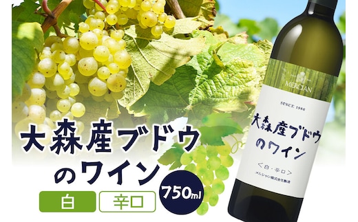 大森産ブドウのワイン【白・辛口】 750ml×1本 [白ワイン ワイン お酒 大森産ブドウ リースリング 辛口 秋田県産]