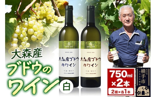 大森産ワインの甘辛飲みくらべ 750ml×各1本 計2本 [大森産 赤ワイン 白ワイン ワイン お酒 甘口 辛口 飲みくらべ 飲み比べ 秋田県 横手市]