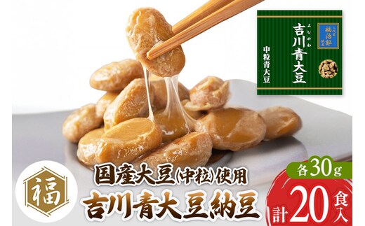 二代目福治郎納豆 吉川青大豆納豆【中粒】10袋（1袋×2食入）計20食 [二代目福治郎 納豆 高級 吉川青大豆 地豆 中粒 たれ無し タレ無し なっとう]