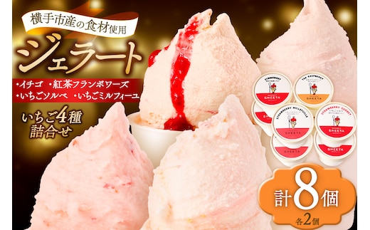 ジェラート詰合せ いちごセット（イチゴ・いちごソルベ・紅茶フランボワーズ・いちごミルフィーユ）約100g×8個（各種2個ずつ）