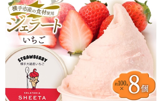 ジェラート イチゴ 約100g×8個 [ジェラート アイス アイスクリーム GELATERIA SHEETA ジェラテリアシータ いちご 苺 ストロベリー 秋田県 横手市]