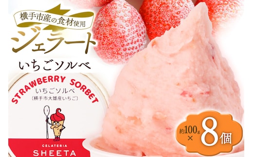ジェラート いちごソルベ 約100g×8個 [ジェラート アイス アイスクリーム GELATERIA SHEETA ジェラテリアシータ 秋田県 横手市]
