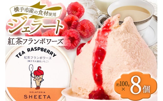 ジェラート 紅茶フランボワーズ 約100g×8個 [ジェラート アイス アイスクリーム GELATERIA SHEETA ジェラテリアシータ 秋田県 横手市]