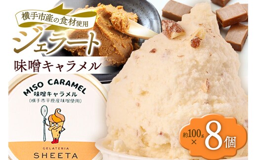 ジェラート 味噌キャラメル 約100g×8個 [ジェラート アイス アイスクリーム GELATERIA SHEETA ジェラテリアシータ 秋田県 横手市]