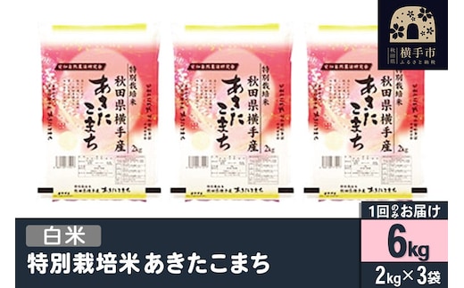 【白米】令和7年産 特別栽培米 あきたこまち 6kg（2kg×3袋） [秋田県産 あきたこまち 特別栽培米 6キロ 令和7年産 秋田こまち]