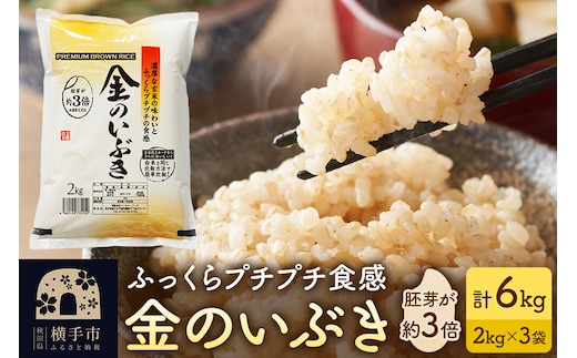 【玄米】令和7年産 金のいぶき 6kg（2kg×3袋） [秋田県産 金のいぶき 玄米 プレミアム玄米 6キロ]
