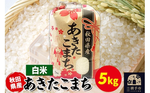 あきたこまち 5kg×1袋【白米】令和7年産 秋田県産 こまちライン [こまちライン あきたこまち ブランド米 お米 白米 精米 米どころ 秋田 秋田県産]