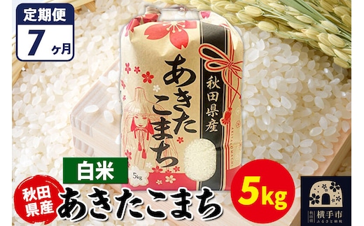 《定期便7ヶ月》あきたこまち 5kg【白米】令和7年産 秋田県産 こまちライン [こまちライン あきたこまち ブランド米 お米 白米 精米 米どころ 秋田 秋田県産]