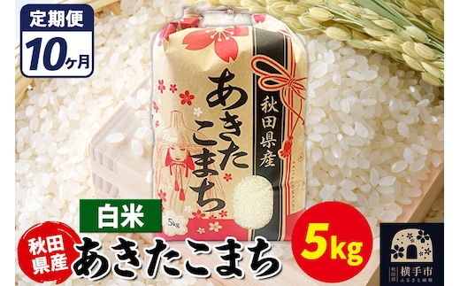 《定期便10ヶ月》あきたこまち 5kg【白米】令和7年産 秋田県産 こまちライン [こまちライン あきたこまち ブランド米 お米 白米 精米 米どころ 秋田 秋田県産]