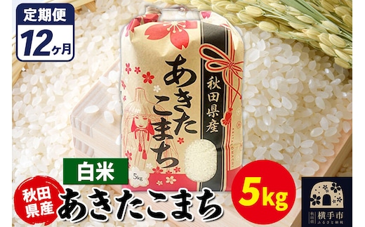 《定期便12ヶ月》あきたこまち 5kg【白米】令和7年産 秋田県産 こまちライン [こまちライン あきたこまち ブランド米 お米 白米 精米 米どころ 秋田 秋田県産]