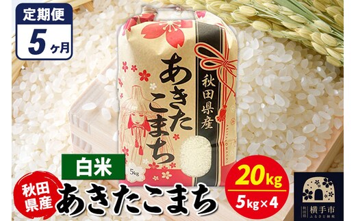 《定期便5ヶ月》あきたこまち 20kg（5kg×4袋）【白米】令和7年産 秋田県産 こまちライン [こまちライン あきたこまち ブランド米 お米 白米 精米 米どころ 秋田 秋田県産]