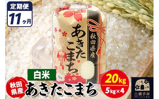 《定期便11ヶ月》あきたこまち 20kg【白米】令和7年産 秋田県産 こまちライン [こまちライン あきたこまち ブランド米 お米 白米 精米 米どころ 秋田 秋田県産]