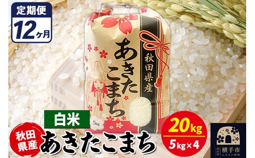《定期便12ヶ月》あきたこまち 20kg【白米】令和7年産 秋田県産 こまちライン [こまちライン あきたこまち ブランド米 お米 白米 精米 米どころ 秋田 秋田県産]