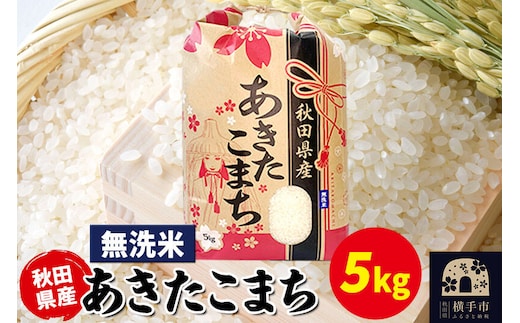 あきたこまち 5kg×1袋【無洗米】令和7年産 秋田県産 こまちライン [こまちライン あきたこまち ブランド米 お米 白米 精米 無洗米 米どころ 秋田 秋田県産]