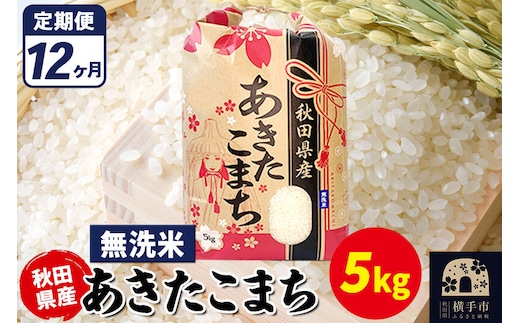 《定期便12ヶ月》あきたこまち 5kg【無洗米】令和7年産 秋田県産 こまちライン [こまちライン あきたこまち ブランド米 お米 白米 精米 無洗米 米どころ 秋田 秋田県産]