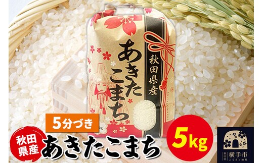 あきたこまち 5kg×1袋【5分づき】令和7年産 秋田県産 こまちライン [こまちライン あきたこまち ブランド米 お米 5分搗き 5分づき 米どころ 秋田 秋田県産]
