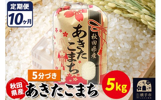 《定期便10ヶ月》あきたこまち 5kg【5分づき】令和7年産 秋田県産 こまちライン [こまちライン あきたこまち ブランド米 お米 5分搗き 5分づき 米どころ 秋田 秋田県産]