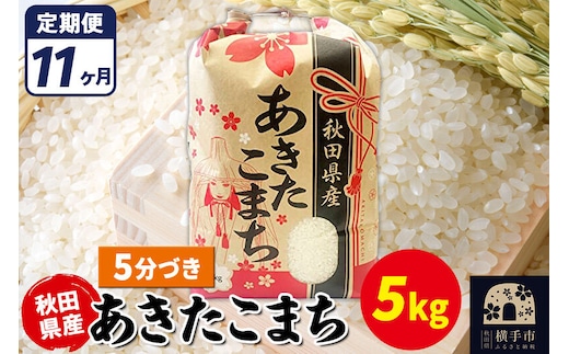 《定期便11ヶ月》あきたこまち 5kg【5分づき】令和7年産 秋田県産 こまちライン [こまちライン あきたこまち ブランド米 お米 5分搗き 5分づき 米どころ 秋田 秋田県産]