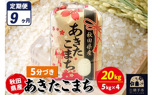 《定期便9ヶ月》あきたこまち 20kg【5分づき】令和7年産 秋田県産 こまちライン [こまちライン あきたこまち ブランド米 お米 5分搗き 5分づき 米どころ 秋田 秋田県産]