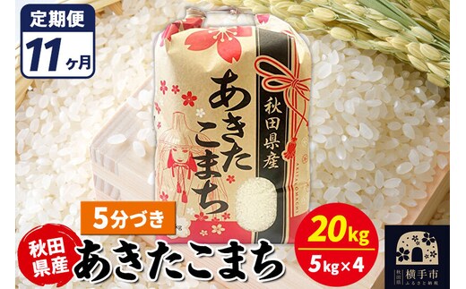 《定期便11ヶ月》あきたこまち 20kg【5分づき】令和7年産 秋田県産 こまちライン [こまちライン あきたこまち ブランド米 お米 5分搗き 5分づき 米どころ 秋田 秋田県産]