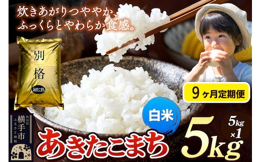 《令和7年産》《定期便9ヶ月》 米 あきたこまち 5kg 【白米】 秋田県産 [米 コメ 白米 あきたこまち おいしい 美味しい]