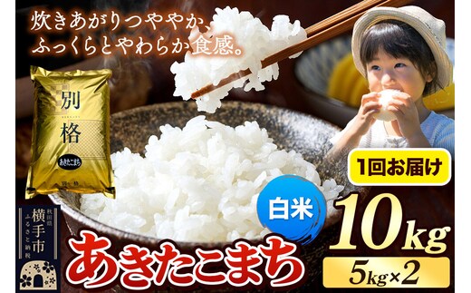 《令和7年産》 米 あきたこまち 10kg（5kg×2袋） 【白米】 秋田県産 [米 コメ 白米 あきたこまち おいしい 美味しい]