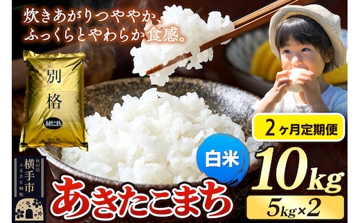 《令和7年産》《定期便2ヶ月》 米 あきたこまち 10kg（5kg×2袋） 【白米】 秋田県産 [米 コメ 白米 あきたこまち おいしい 美味しい]
