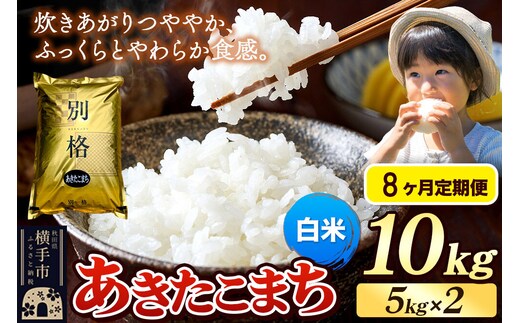 《令和7年産》《定期便8ヶ月》 米 あきたこまち 10kg（5kg×2袋） 【白米】 秋田県産 [米 コメ 白米 あきたこまち おいしい 美味しい]