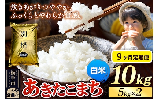 《令和7年産》《定期便9ヶ月》 米 あきたこまち 10kg（5kg×2袋） 【白米】 秋田県産 [米 コメ 白米 あきたこまち おいしい 美味しい]