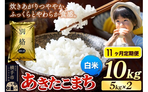 《令和7年産》《定期便11ヶ月》 米 あきたこまち 10kg（5kg×2袋） 【白米】 秋田県産 [米 コメ 白米 あきたこまち おいしい 美味しい]