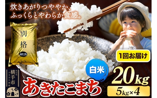 《令和7年産》 米 あきたこまち 20kg（5kg×4袋） 【白米】 秋田県産 [米 コメ 白米 あきたこまち おいしい 美味しい]