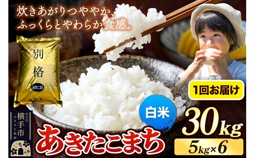 《令和7年産》 米 あきたこまち 30kg（5kg×6袋） 【白米】 秋田県産 [米 コメ 白米 あきたこまち おいしい 美味しい]