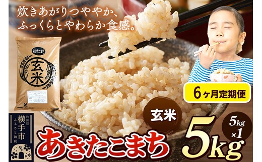 《令和7年産》《定期便6ヶ月》 米 あきたこまち 5kg 【玄米】 秋田県産 [米 コメ 玄米 あきたこまち おいしい 美味しい]