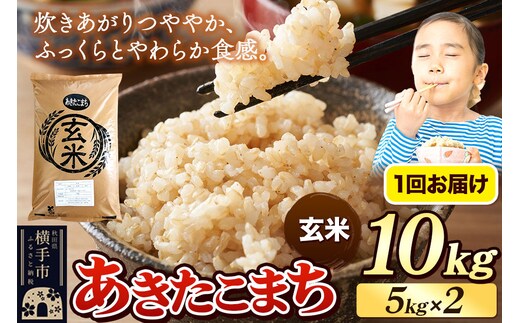 《令和7年産》 米 あきたこまち 10kg（5kg×2袋） 【玄米】 秋田県産 [米 コメ 玄米 あきたこまち おいしい 美味しい]