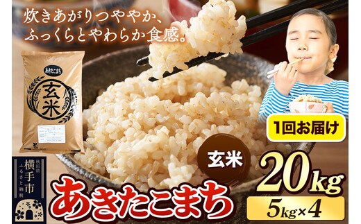 《令和7年産》 米 あきたこまち 20kg（5kg×4袋） 【玄米】 秋田県産 [米 コメ 玄米 あきたこまち おいしい 美味しい]