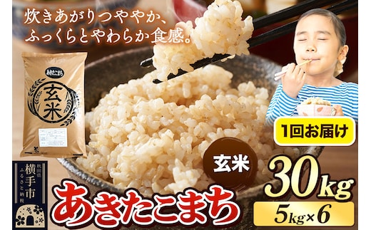 《令和7年産》 米 あきたこまち 30kg（5kg×6袋） 【玄米】 秋田県産 [米 コメ 玄米 あきたこまち おいしい 美味しい]