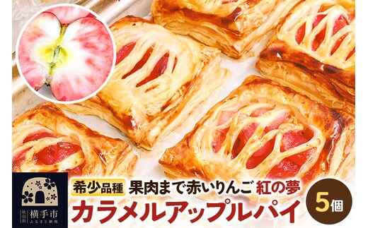 紅の夢カラメルアップルパイ 5個入りセット [アップルパイ 冷凍 林檎 リンゴ りんご フルーツ 果物 紅の夢 小分け 個包装 お菓子 おやつ スイーツ]