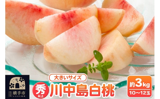 【先行受付】8月下旬より発送 横手市増田産の桃 川中島白桃 約3kg 秀以上 10～12玉 大きいサイズ [先行予約 もも モモ 白桃 はくとう 果物 フルーツ 横手産 秋田産 秋田県産 大玉]