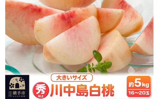【先行受付】8月下旬より発送 横手市増田産の桃 川中島白桃 約5kg 秀以上 16～20玉 大きいサイズ [先行予約 もも モモ 白桃 はくとう 果物 フルーツ 横手産 秋田産 秋田県産 大玉]