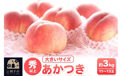 【先行受付】8月上旬より発送 横手市増田産の桃 あかつき 約3kg 秀以上 11～13玉 大きいサイズ [先行予約 もも モモ 果物 フルーツ 横手産 秋田産 秋田県産 大玉]