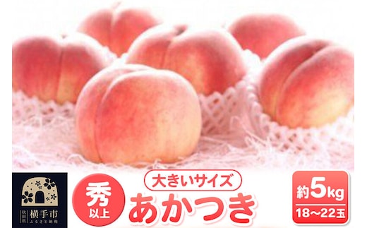 【先行受付】8月上旬より発送 横手市増田産の桃 あかつき 約5kg 秀以上 18～22玉 大きいサイズ [先行予約 もも モモ 果物 フルーツ 横手産 秋田産 秋田県産 大玉]