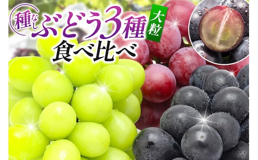 【先行受付】9月中旬より発送 【ぶどう3種食べ比べ】濃甘な完熟葡萄 横手市大沢地区産 旬な種無し大粒品種ぶどう 3種類詰合せ 巨峰 ピオーネ シナノスマイル クィーンニーナ タマユタカ 翠峰 ぶどう ブトウ 種なし 詰め合わせ 食べ比べ フルーツ 果物 秋田 [先行予約 ぶどう ブドウ 葡萄 果物 フルーツ 横手産 秋田産 秋田県産]