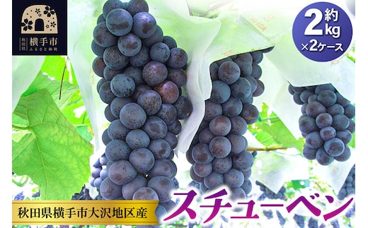 【先行受付】9月下旬より発送 濃甘な完熟葡萄 横手市大沢地区産 ぶどう スチューベン 約2kg×2ケース [先行予約 ぶどう ブドウ 葡萄 果物 フルーツ 横手産 秋田産 秋田県産]
