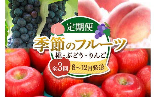 【先行受付】《年3回お届け》横手市産 季節のフルーツ定期便《8月～12月お届け》（桃・ぶどう・りんご） [先行予約 旬 くだもの 果物 フルーツ 桃 もも モモ ぶどう ブドウ 葡萄 りんご リンゴ 林檎 あかつき スチューベン サンふじ サンフジ]